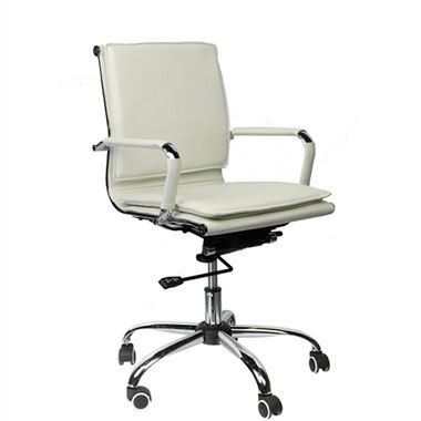 Stationary Ergonomic Desk Chair